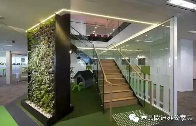 为什么办公室里一定要养植物？-LUTUBE下载地址欧迪办公家具